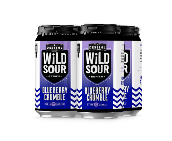 Destihl Wild Sour Series Blueberry Crumble 12oz 4-Pack Can