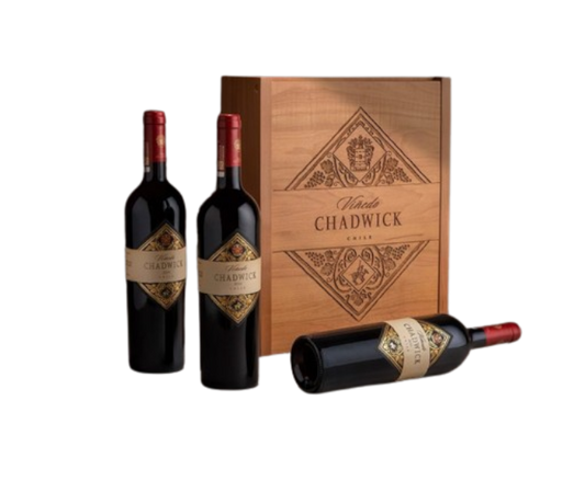 Vinedo Chadwick Vertical Library Edition 750ml