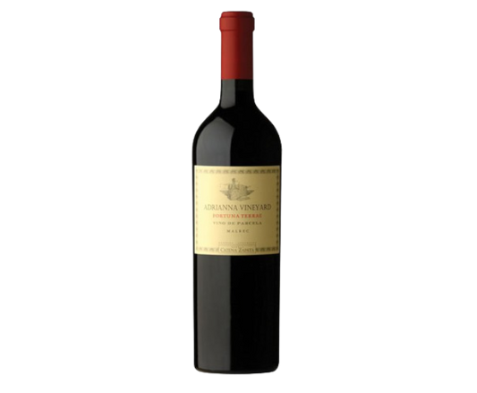 Catena Zapata Malbec Adrianna Fortuna Terrae 2020 750ml