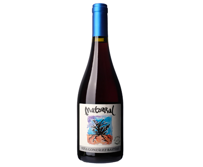 Vina Gonzalez Bastias Matorral 2019 750ml